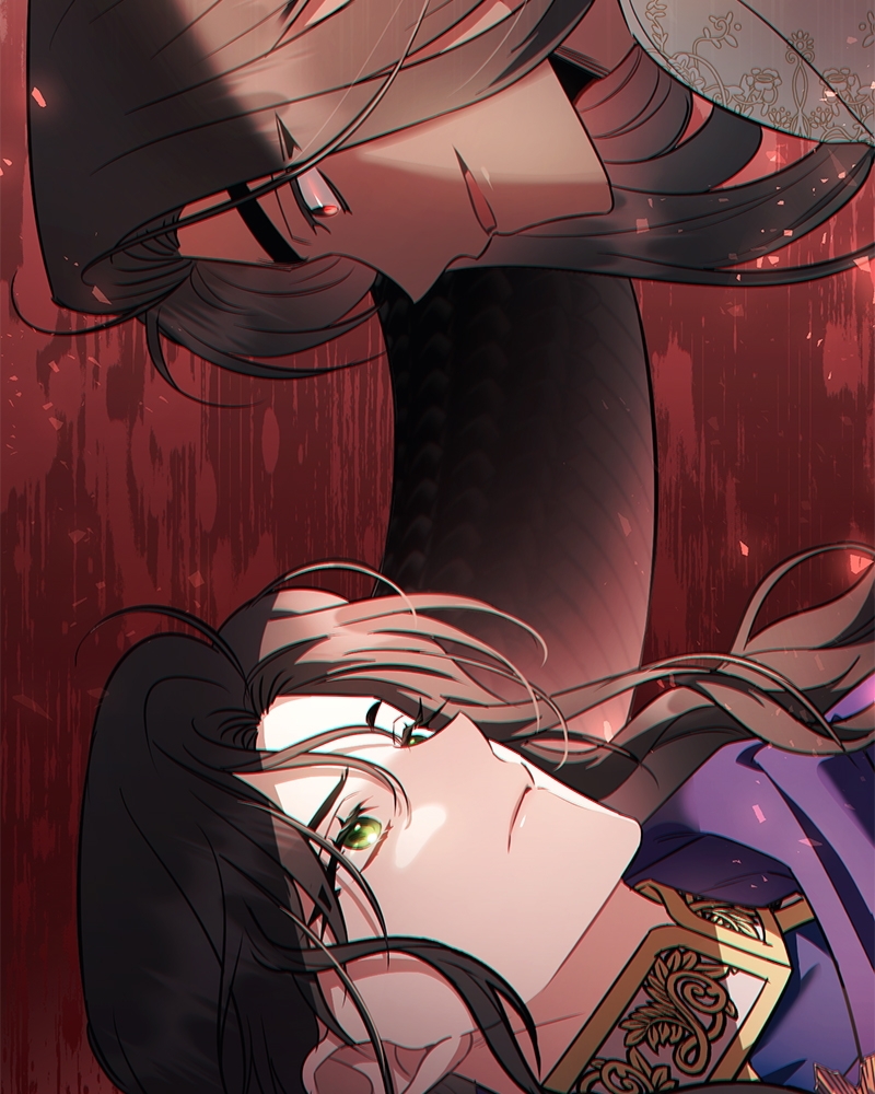 Night Without Shadows 25 047